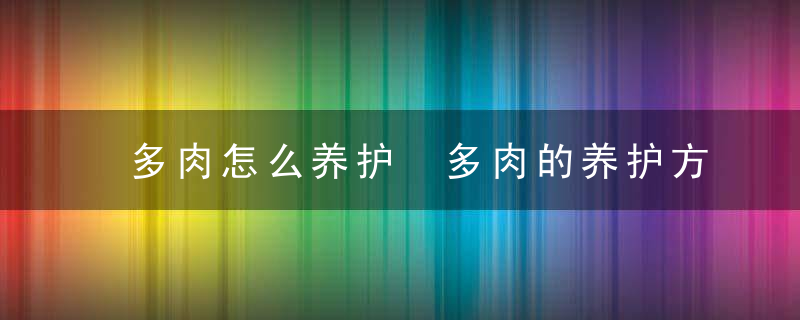 多肉怎么养护 多肉的养护方法